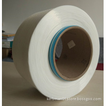 Polyester Mono filament Yarn